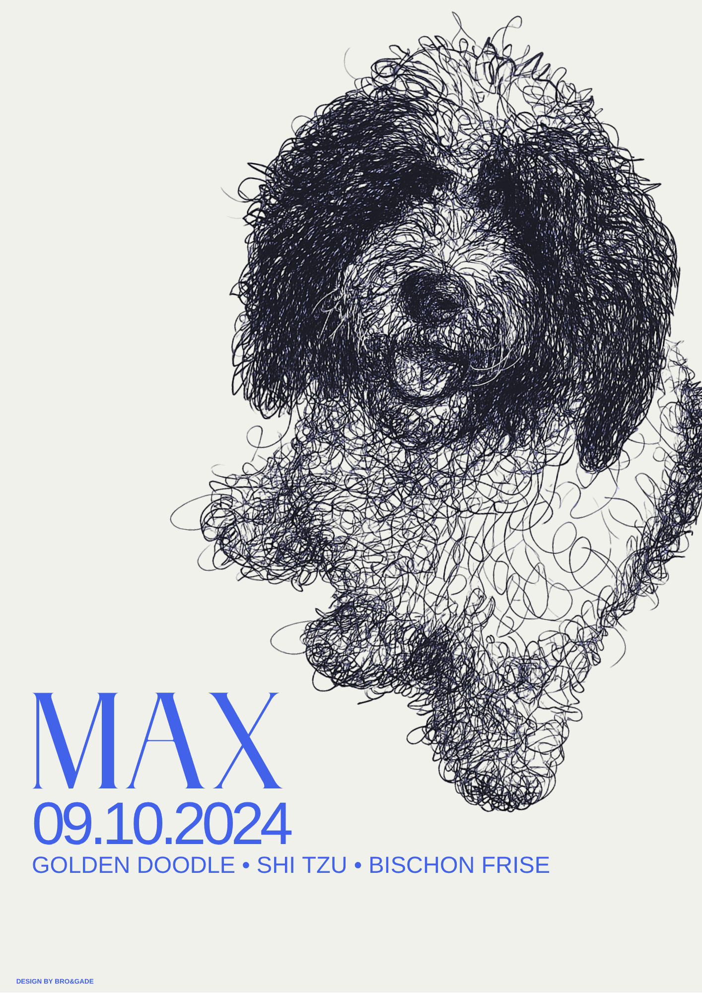 Bro&Gade-plakat af Max, en blanding af goldendoodle, shih tzu og bichon frisé