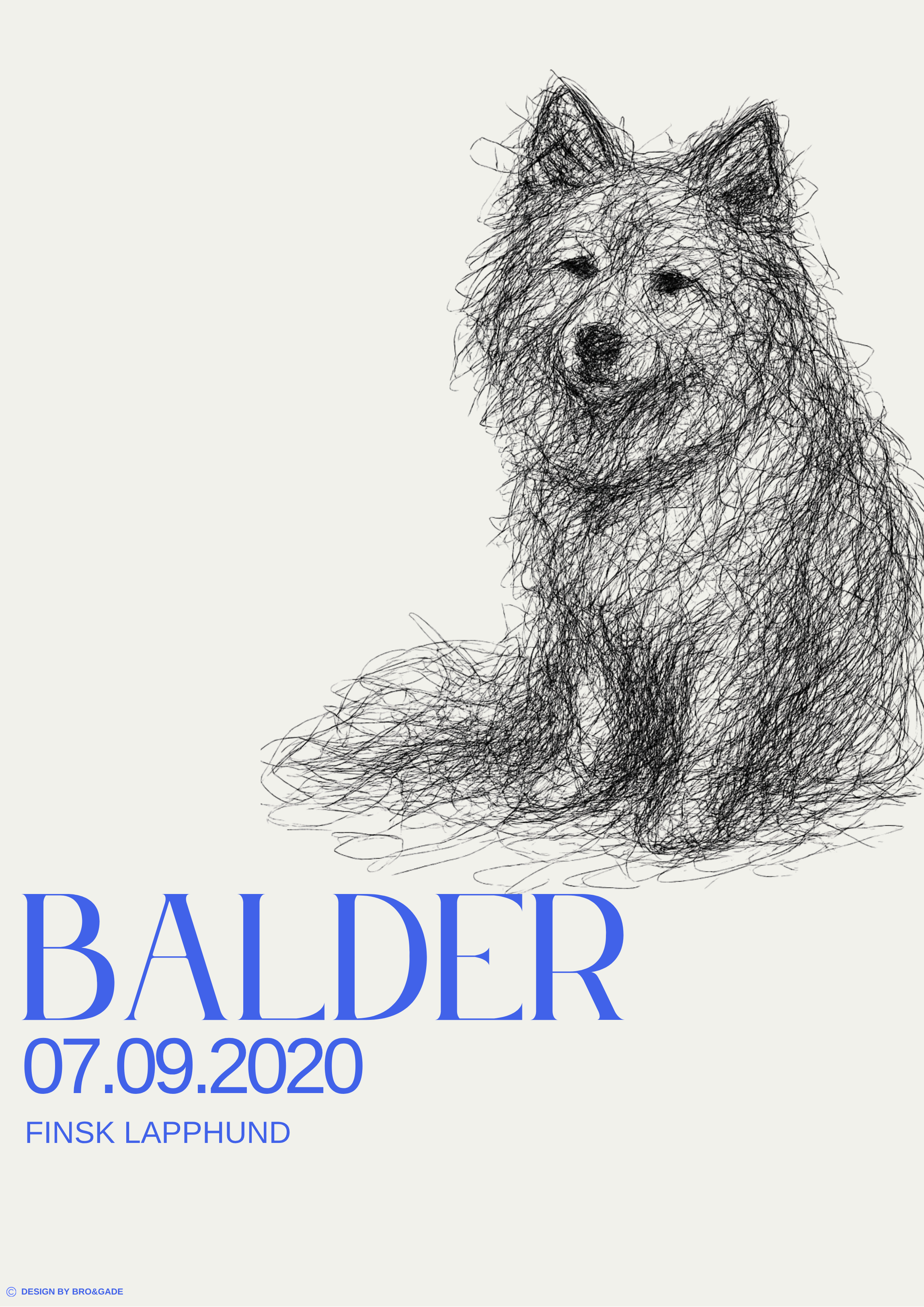 Eksempel på en Bro&Gade-plakat af hunden Balder